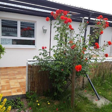 Bungalow Usedom Koserow Esterno foto