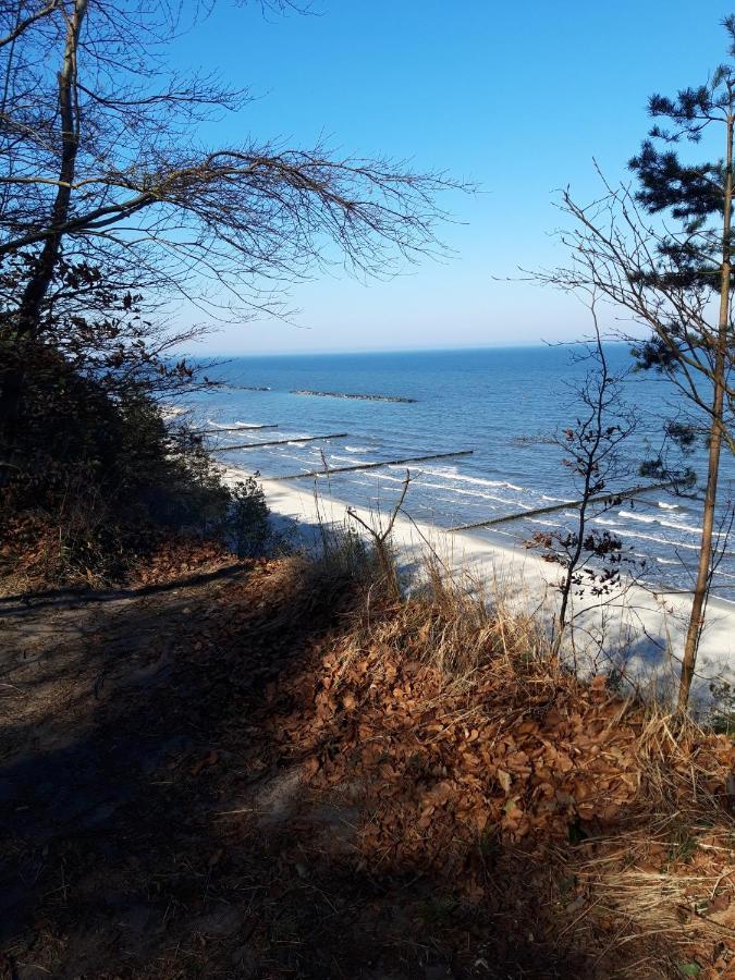 Bungalow Usedom Koserow Esterno foto