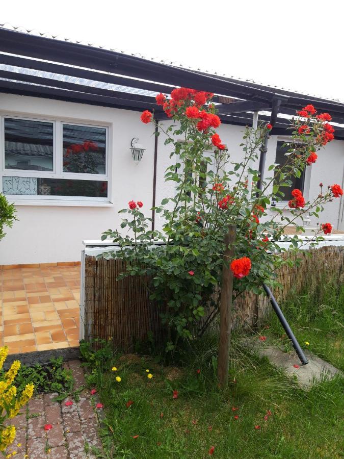 Bungalow Usedom Koserow Esterno foto